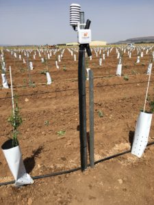 1C43E315-F60B-42CF-9037-B242938C8238 - visual nacert