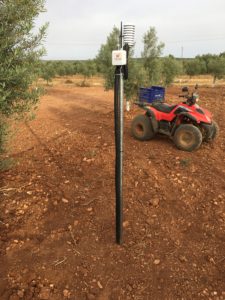 3426C9B2-9E34-4969-8D1A-B8F4C5F8723F - visual nacert