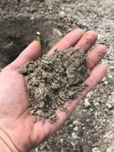 52712FAB-DE7F-41FF-AEC3-34E60D88B7F1 - francisco javier mezquita leal