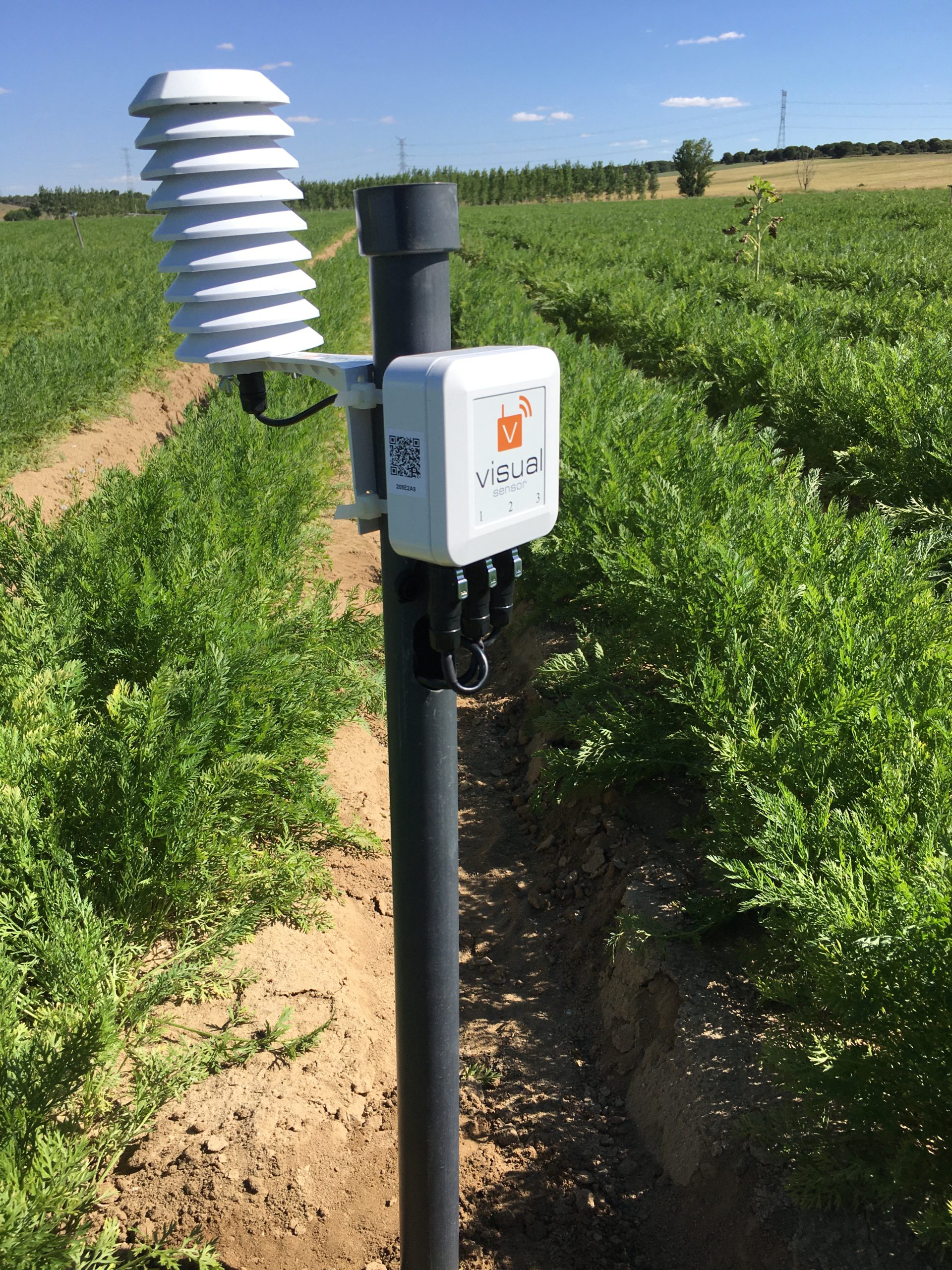 Where do we install? - VISUAL SENSOR