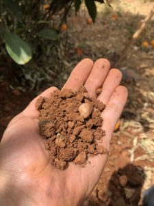 A9B7CCDE-DA7C-4E35-B8E0-C6760C12B249 - francisco javier mezquita leal