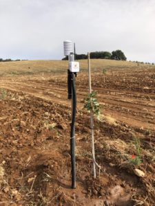 IMG-20220621-WA0025 - francisco javier mezquita leal