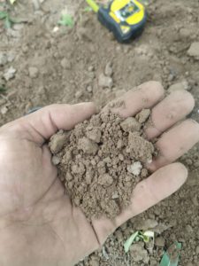 IMG_20220614_120627 - Javier Sanchez Domingo