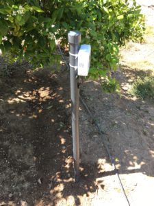 image - Carles Martinez Carbonell